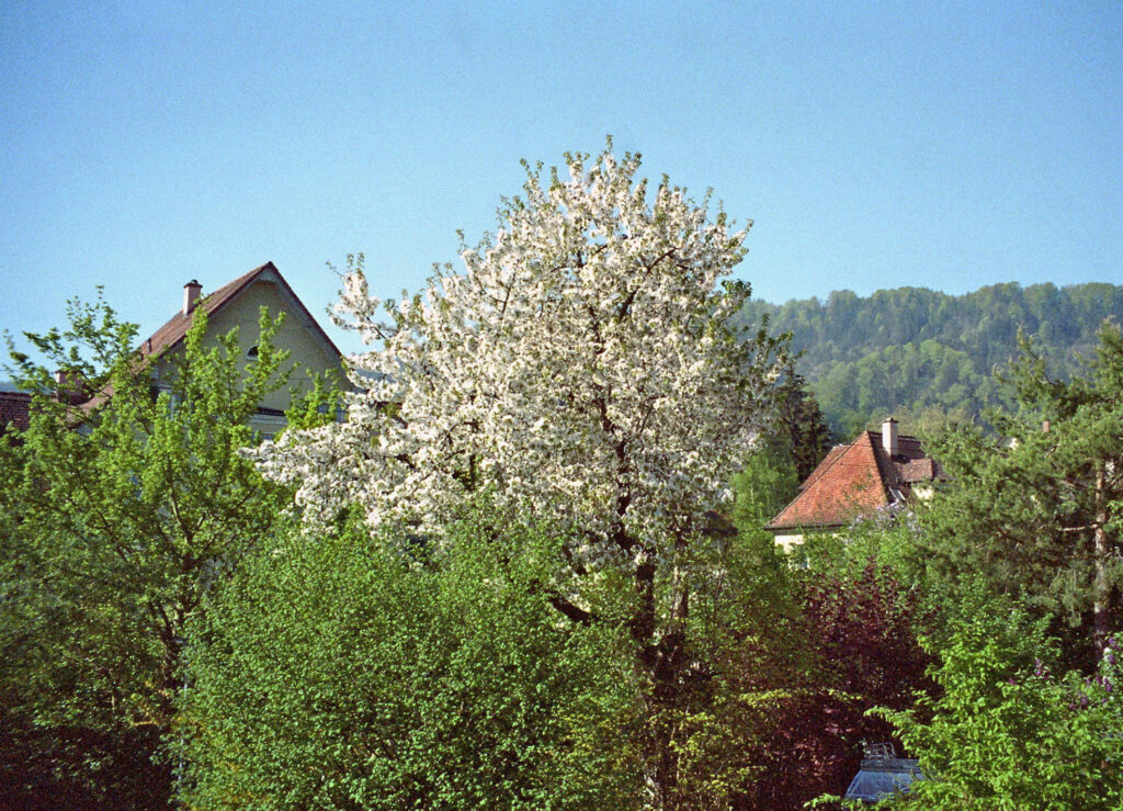 Gartenstadt Friesenberg
